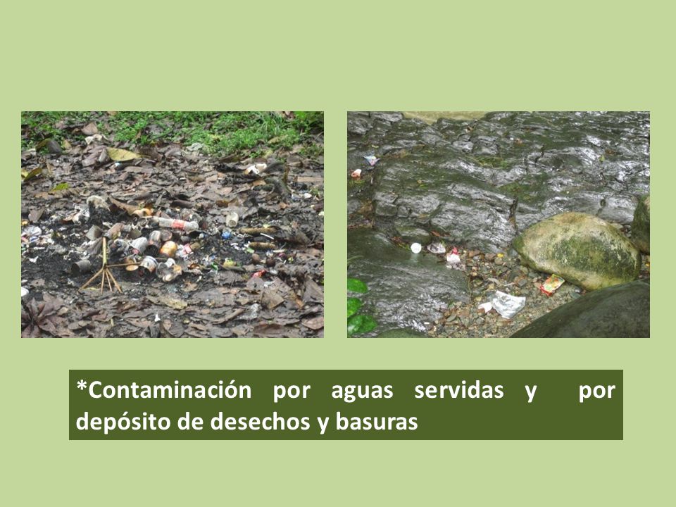 *Contaminación por aguas servidas y por depósito de desechos y basuras
