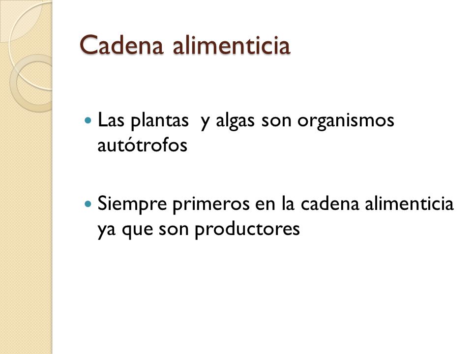Cadena alimenticia Las plantas y algas son organismos autótrofos