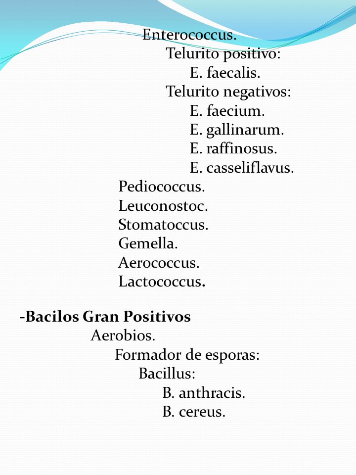 Enterococcus. Telurito positivo: E. faecalis. Telurito negativos: E. faecium. E. gallinarum. E. raffinosus.