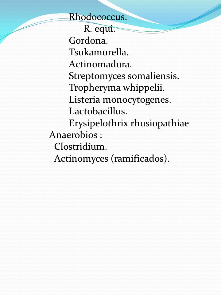 Rhodococcus. R. equi. Gordona. Tsukamurella. Actinomadura. Streptomyces somaliensis. Tropheryma whippelii.