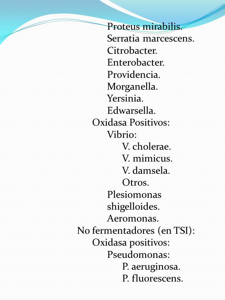 Proteus mirabilis. Serratia marcescens. Citrobacter. Enterobacter. Providencia. Morganella. Yersinia.
