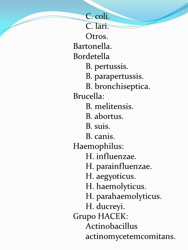 C. coli. C. lari. Otros. Bartonella. Bordetella. B. pertussis. B. parapertussis. B. bronchiseptica.