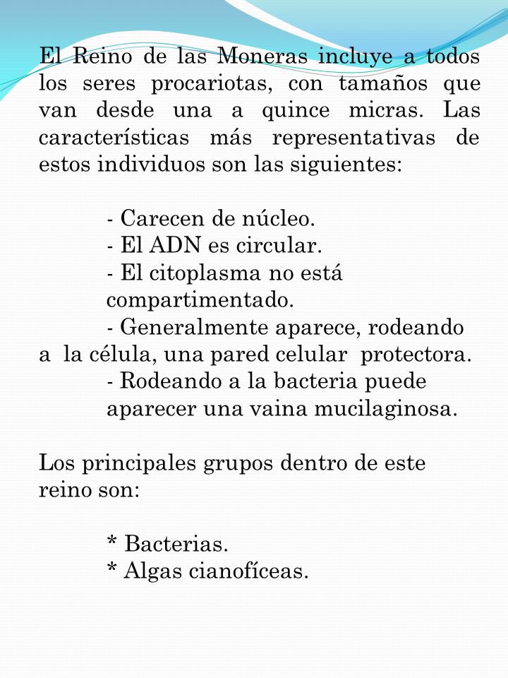 El Reino de las Moneras incluye a todos los seres procariotas, con tamaños que van desde una a quince micras. Las características más representativas de estos individuos son las siguientes: