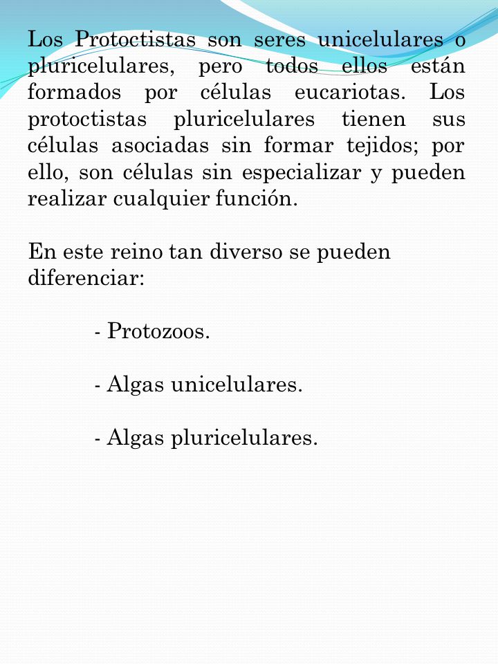 Los Protoctistas son seres unicelulares o pluricelulares, pero todos ellos están formados por células eucariotas. Los protoctistas pluricelulares tienen sus células asociadas sin formar tejidos; por ello, son células sin especializar y pueden realizar cualquier función.