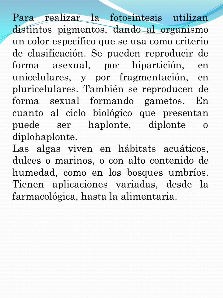Para realizar la fotosíntesis utilizan distintos pigmentos, dando al organismo un color específico que se usa como criterio de clasificación. Se pueden reproducir de forma asexual, por bipartición, en unicelulares, y por fragmentación, en pluricelulares. También se reproducen de forma sexual formando gametos. En cuanto al ciclo biológico que presentan puede ser haplonte, diplonte o diplohaplonte.
