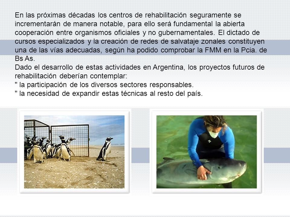En las próximas décadas los centros de rehabilitación seguramente se incrementarán de manera notable, para ello será fundamental la abierta cooperación entre organismos oficiales y no gubernamentales.
