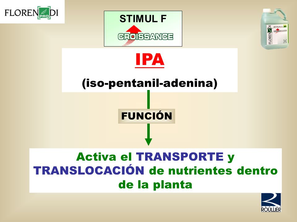 Activa el TRANSPORTE y TRANSLOCACIÓN de nutrientes dentro de la planta