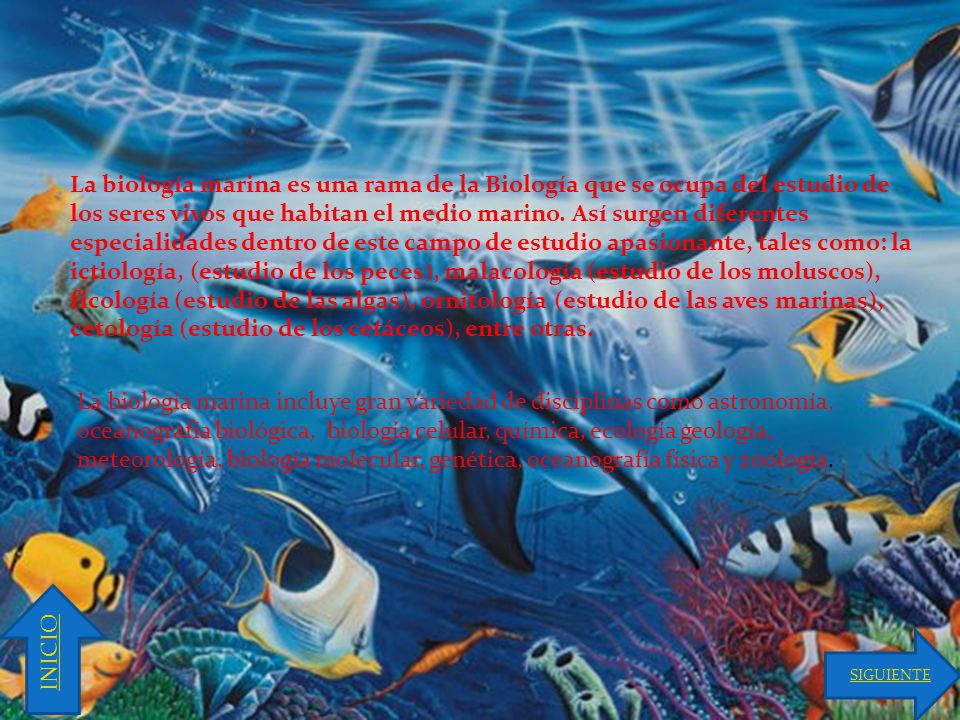 La biología marina es una rama de la Biología que se ocupa del estudio de los seres vivos que habitan el medio marino. Así surgen diferentes especialidades dentro de este campo de estudio apasionante, tales como: la ictiología, (estudio de los peces), malacología (estudio de los moluscos), ficología (estudio de las algas), ornitología (estudio de las aves marinas), cetología (estudio de los cetáceos), entre otras.