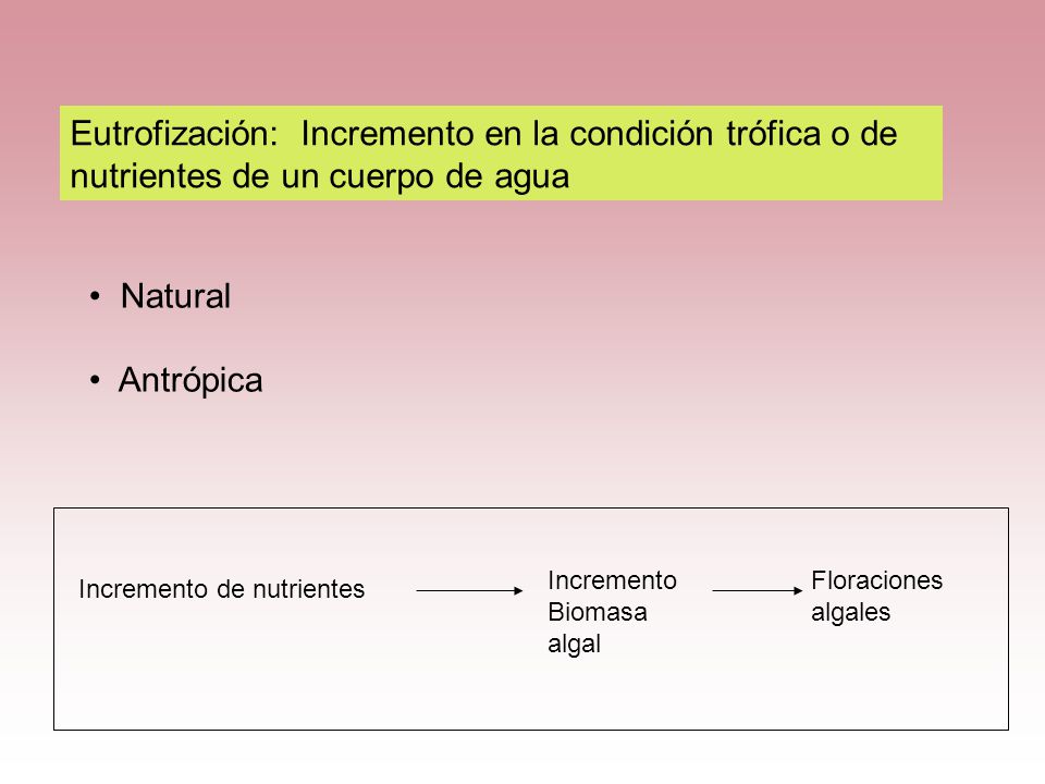 Eutrofización: Incremento en la condición trófica o de nutrientes de un cuerpo de agua