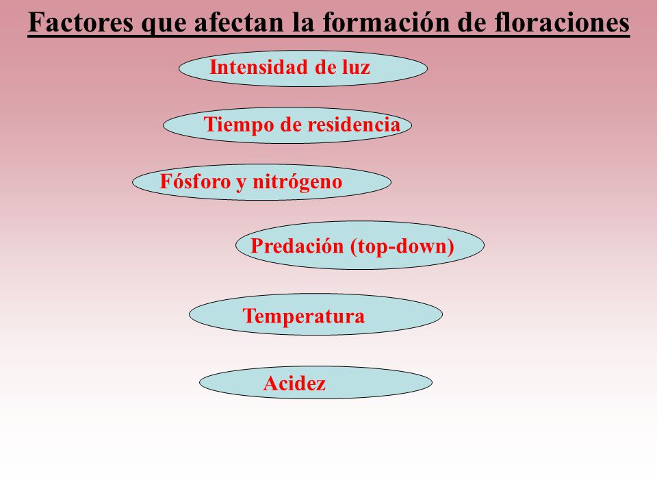 Factores que afectan la formación de floraciones