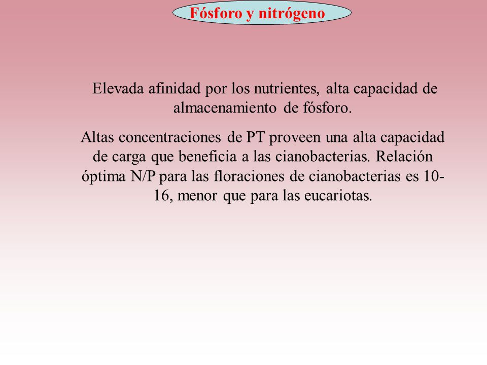 Fósforo y nitrógeno Elevada afinidad por los nutrientes, alta capacidad de almacenamiento de fósforo.