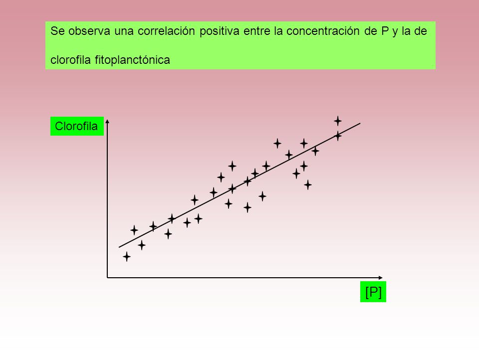 Se observa una correlación positiva entre la concentración de P y la de