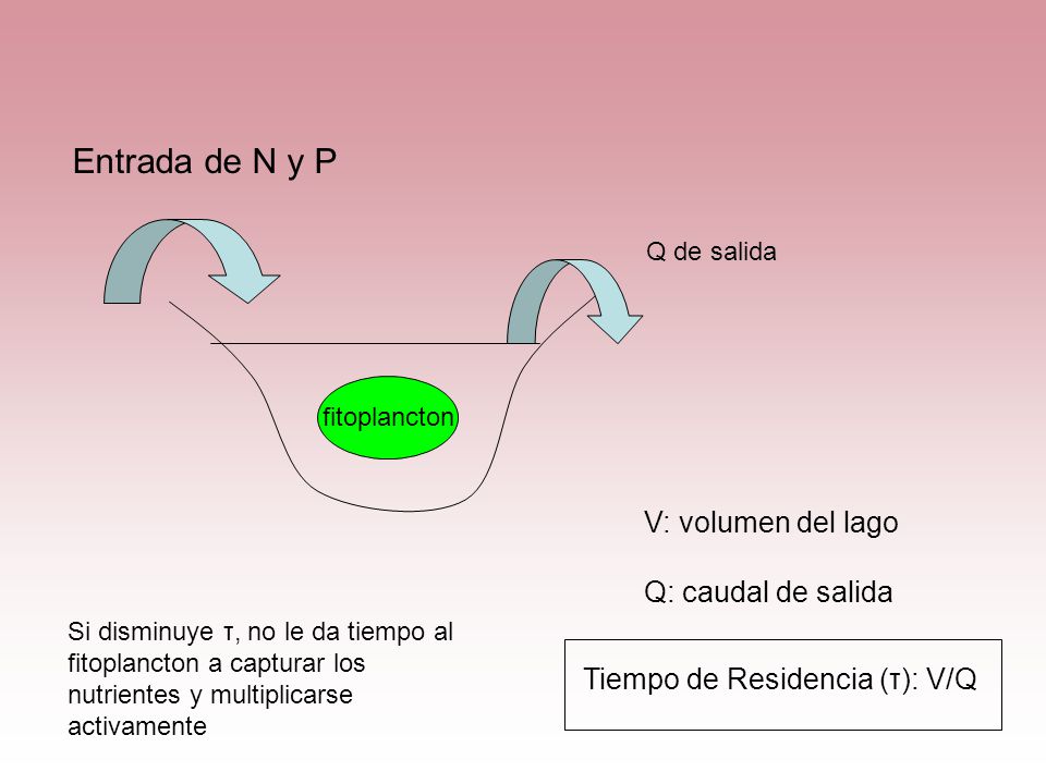Entrada de N y P V: volumen del lago Q: caudal de salida