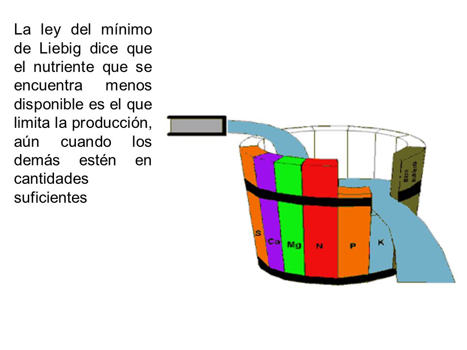 La ley del mínimo de Liebig dice que el nutriente que se encuentra menos disponible es el que limita la producción, aún cuando los demás estén en cantidades suficientes