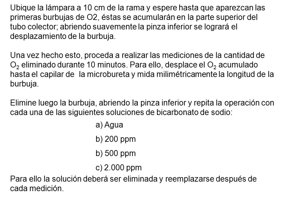 Ubique la lámpara a 10 cm de la rama y espere hasta que aparezcan las primeras burbujas de O2, éstas se acumularán en la parte superior del tubo colector; abriendo suavemente la pinza inferior se logrará el desplazamiento de la burbuja.