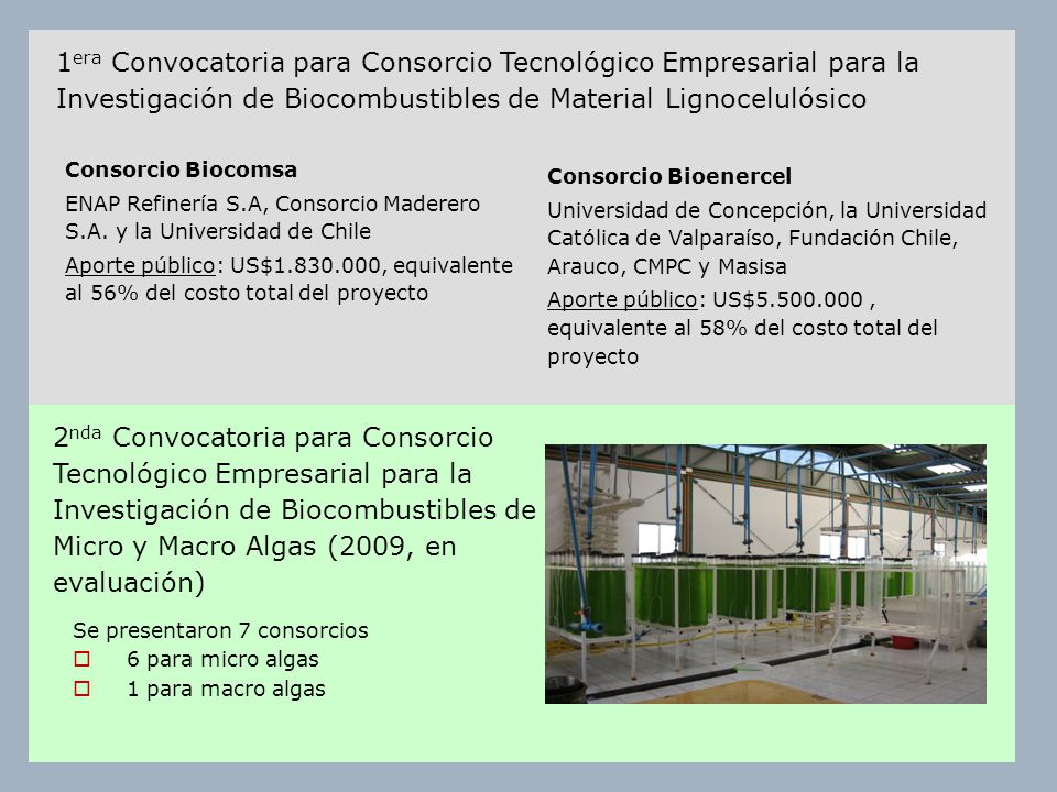 1era Convocatoria para Consorcio Tecnológico Empresarial para la Investigación de Biocombustibles de Material Lignocelulósico
