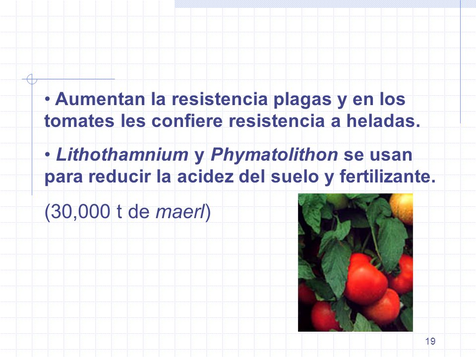 Aumentan la resistencia plagas y en los tomates les confiere resistencia a heladas.