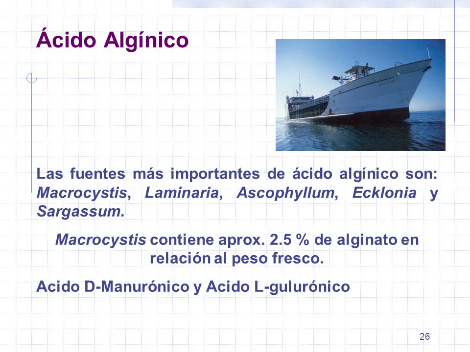 Ácido Algínico Las fuentes más importantes de ácido algínico son: Macrocystis, Laminaria, Ascophyllum, Ecklonia y Sargassum.
