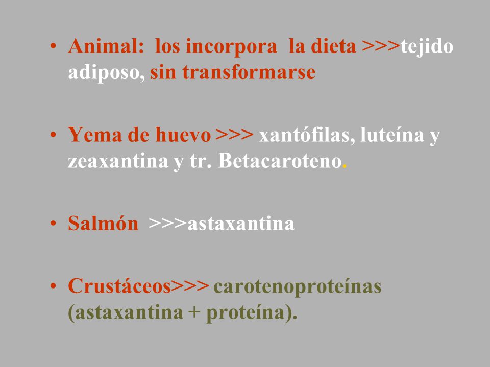 Animal: los incorpora la dieta >>>tejido adiposo, sin transformarse