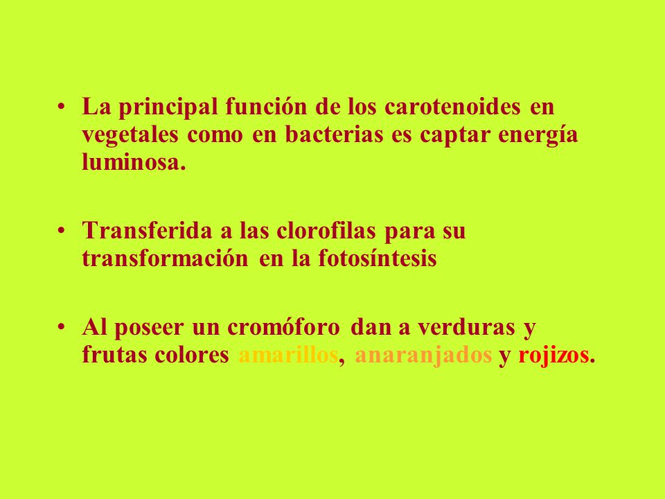 La principal función de los carotenoides en vegetales como en bacterias es captar energía luminosa.