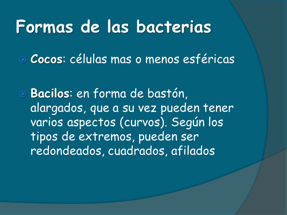 Formas de las bacterias