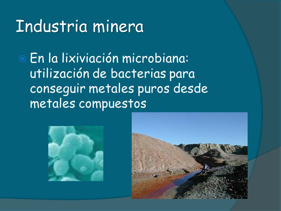 Industria minera En la lixiviación microbiana: utilización de bacterias para conseguir metales puros desde metales compuestos.