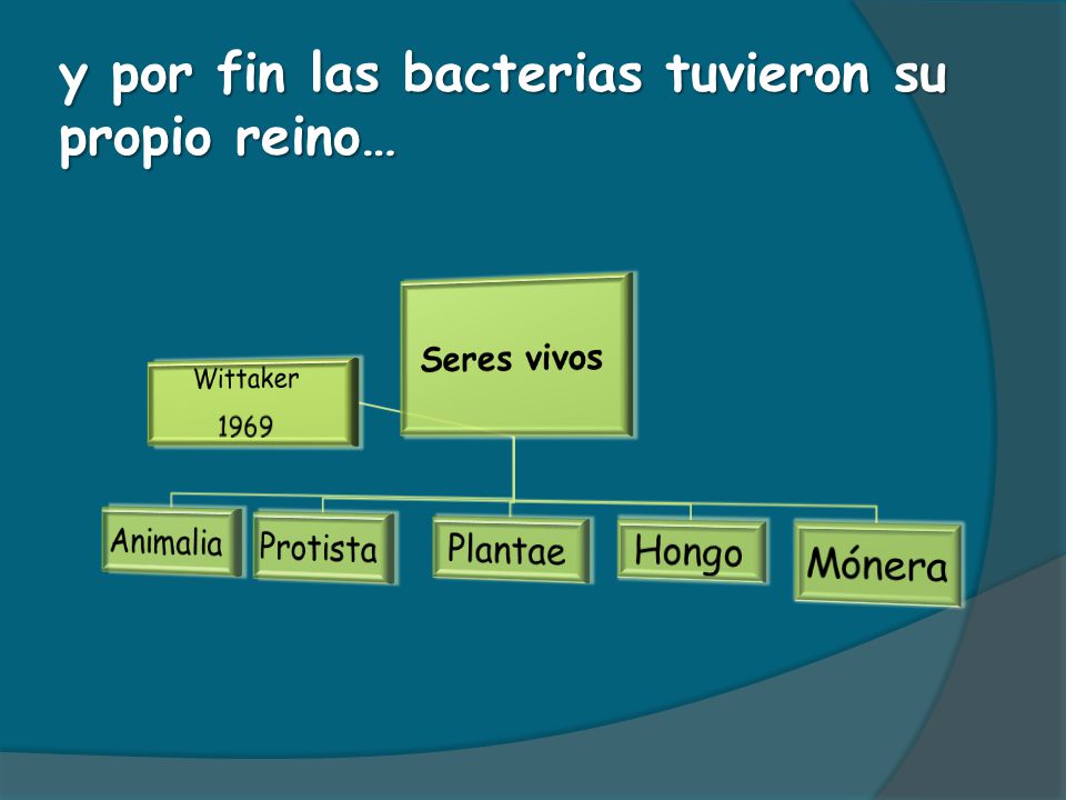 y por fin las bacterias tuvieron su propio reino…
