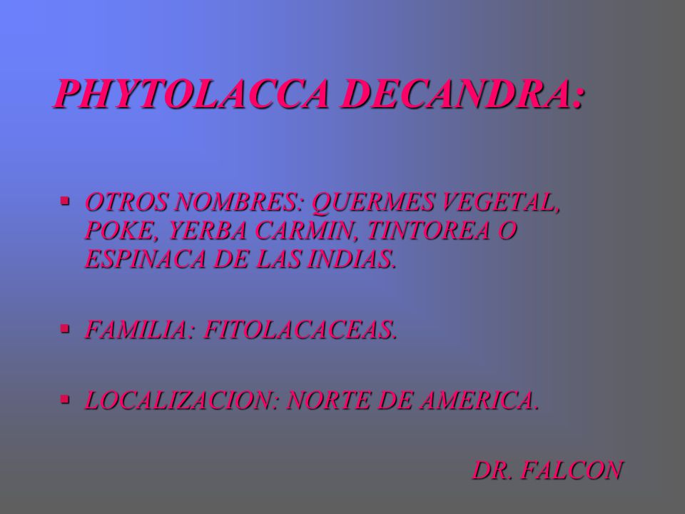 PHYTOLACCA DECANDRA: OTROS NOMBRES: QUERMES VEGETAL, POKE, YERBA CARMIN, TINTOREA O ESPINACA DE LAS INDIAS.