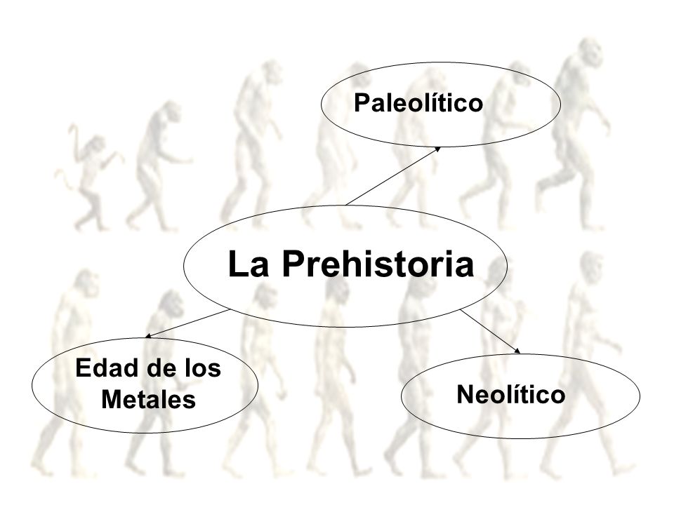 Paleolítico La Prehistoria Edad de los Metales Neolítico