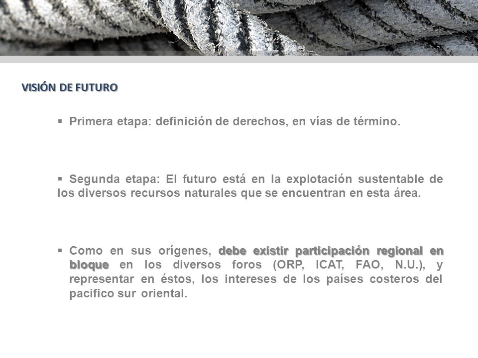 VISIÓN DE FUTURO Primera etapa: definición de derechos, en vías de término.