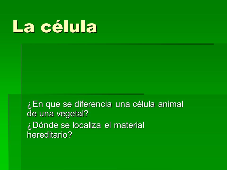 La célula ¿En que se diferencia una célula animal de una vegetal