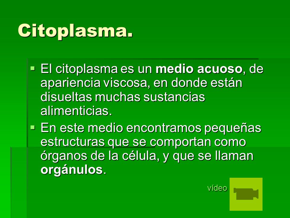 Citoplasma. El citoplasma es un medio acuoso, de apariencia viscosa, en donde están disueltas muchas sustancias alimenticias.