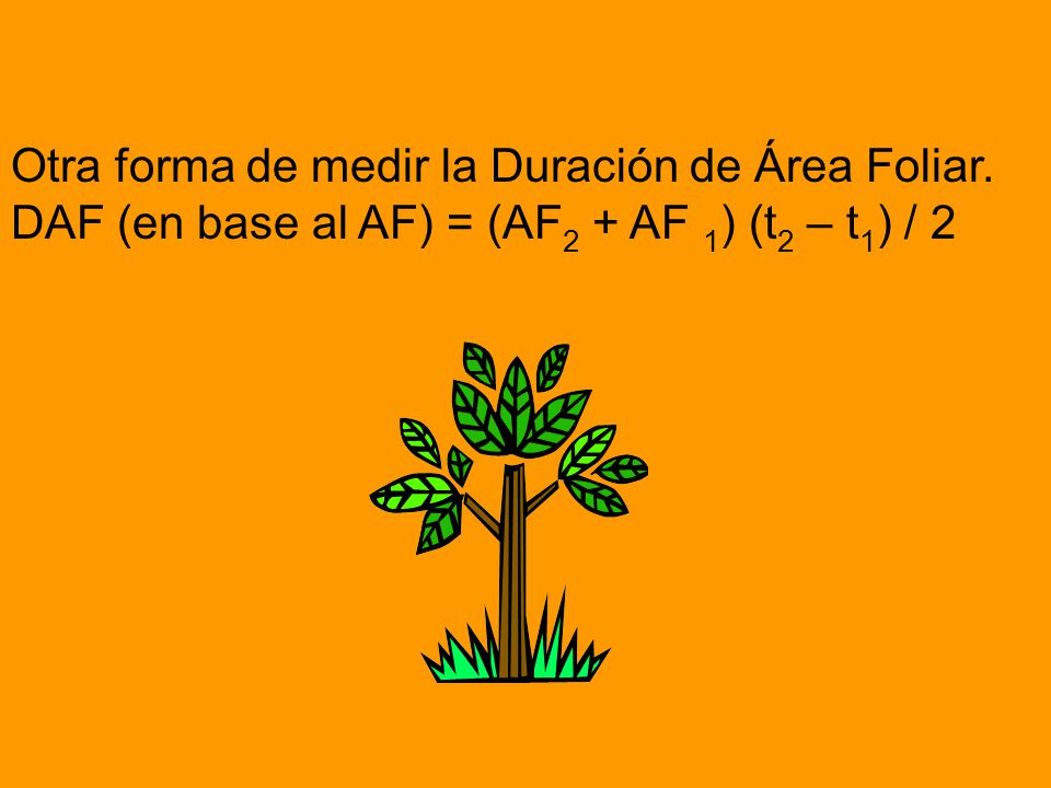 Otra forma de medir la Duración de Área Foliar.