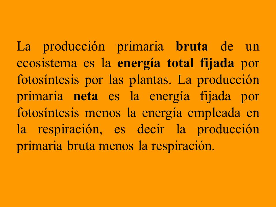 La producción primaria bruta de un ecosistema es la energía total fijada por fotosíntesis por las plantas.