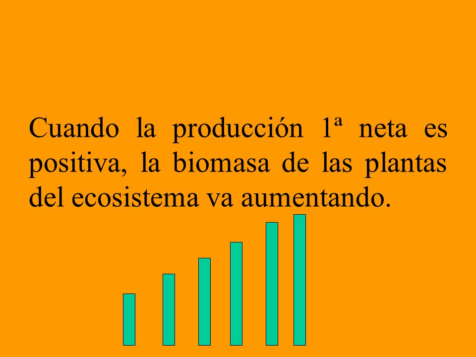 Cuando la producción 1ª neta es positiva, la biomasa de las plantas del ecosistema va aumentando.