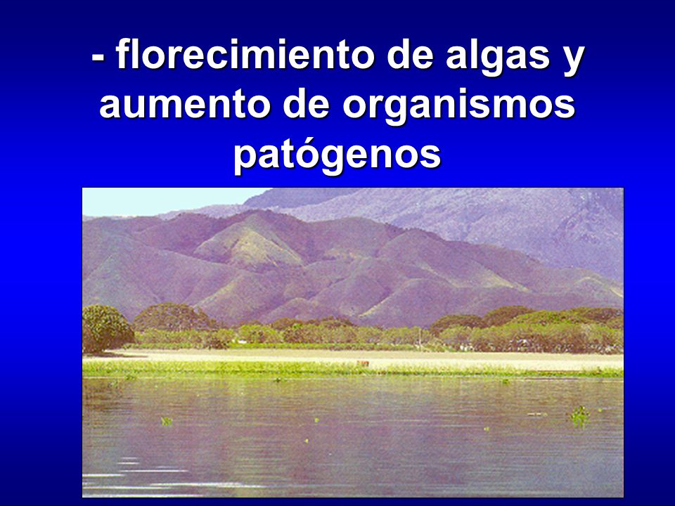 - florecimiento de algas y aumento de organismos patógenos
