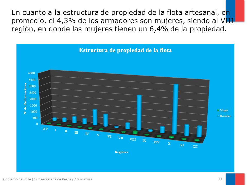 En cuanto a la estructura de propiedad de la flota artesanal, en promedio, el 4,3% de los armadores son mujeres, siendo al VIII región, en donde las mujeres tienen un 6,4% de la propiedad.