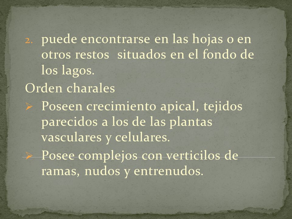 puede encontrarse en las hojas o en otros restos situados en el fondo de los lagos.