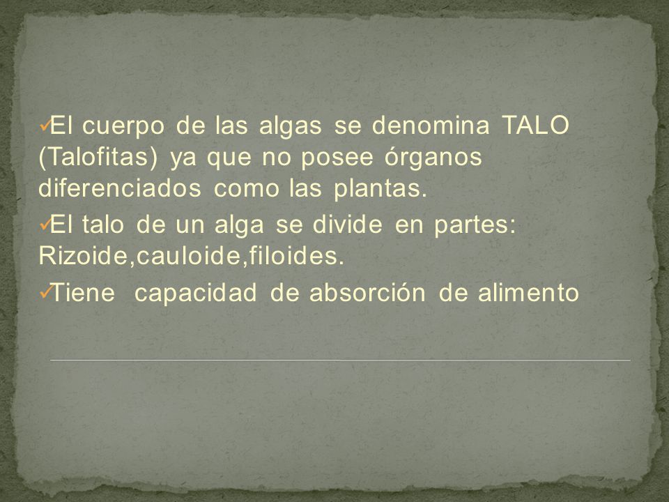 El cuerpo de las algas se denomina TALO (Talofitas) ya que no posee órganos diferenciados como las plantas.