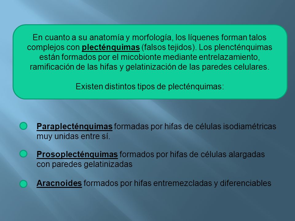 Existen distintos tipos de plecténquimas: