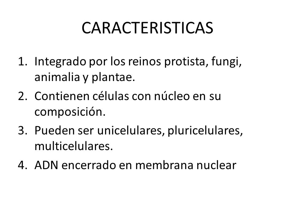 CARACTERISTICAS Integrado por los reinos protista, fungi, animalia y plantae. Contienen células con núcleo en su composición.