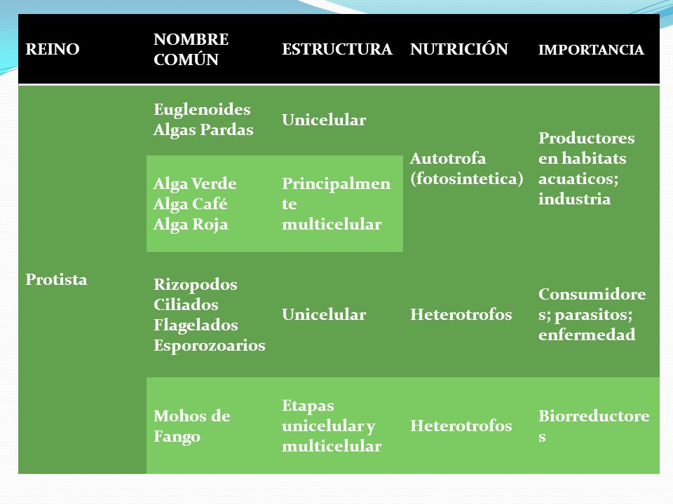 Autotrofa (fotosintetica) Productores en habitats acuaticos; industria