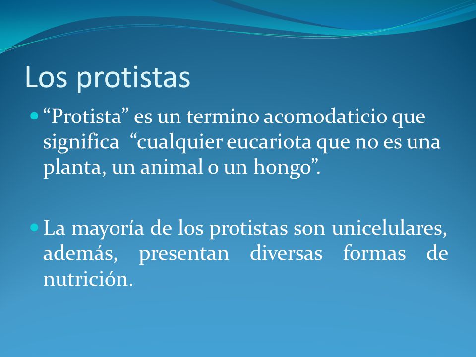 Los protistas Protista es un termino acomodaticio que significa cualquier eucariota que no es una planta, un animal o un hongo .