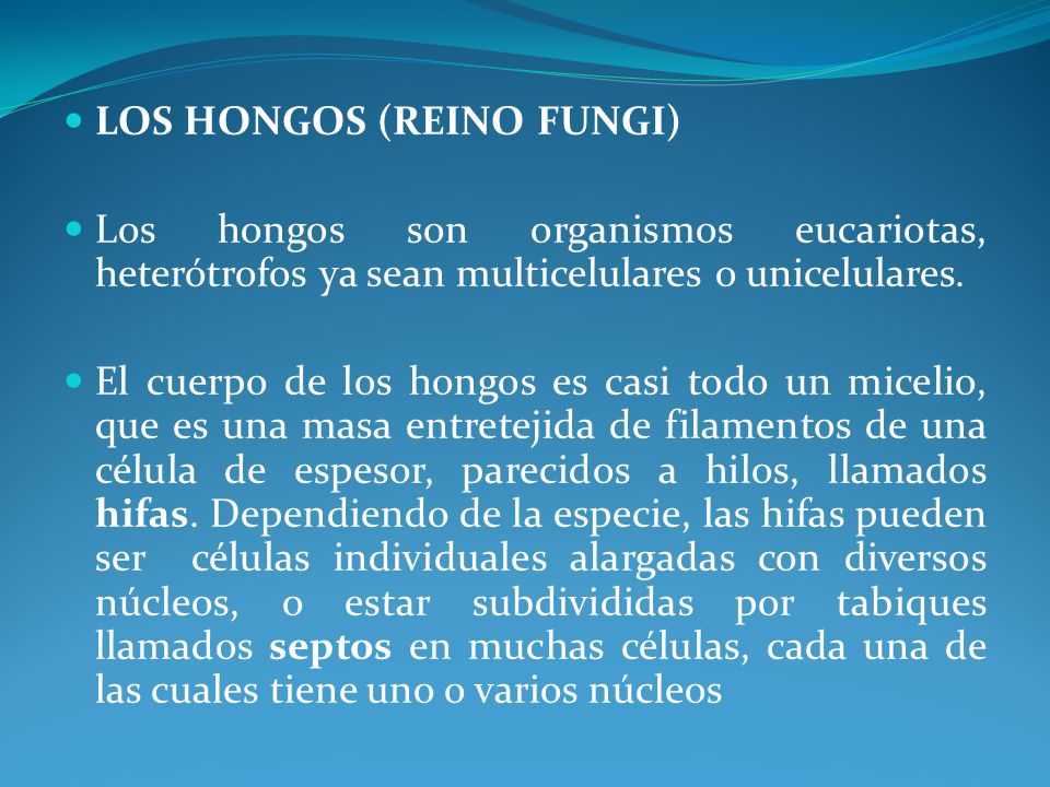 LOS HONGOS (REINO FUNGI)