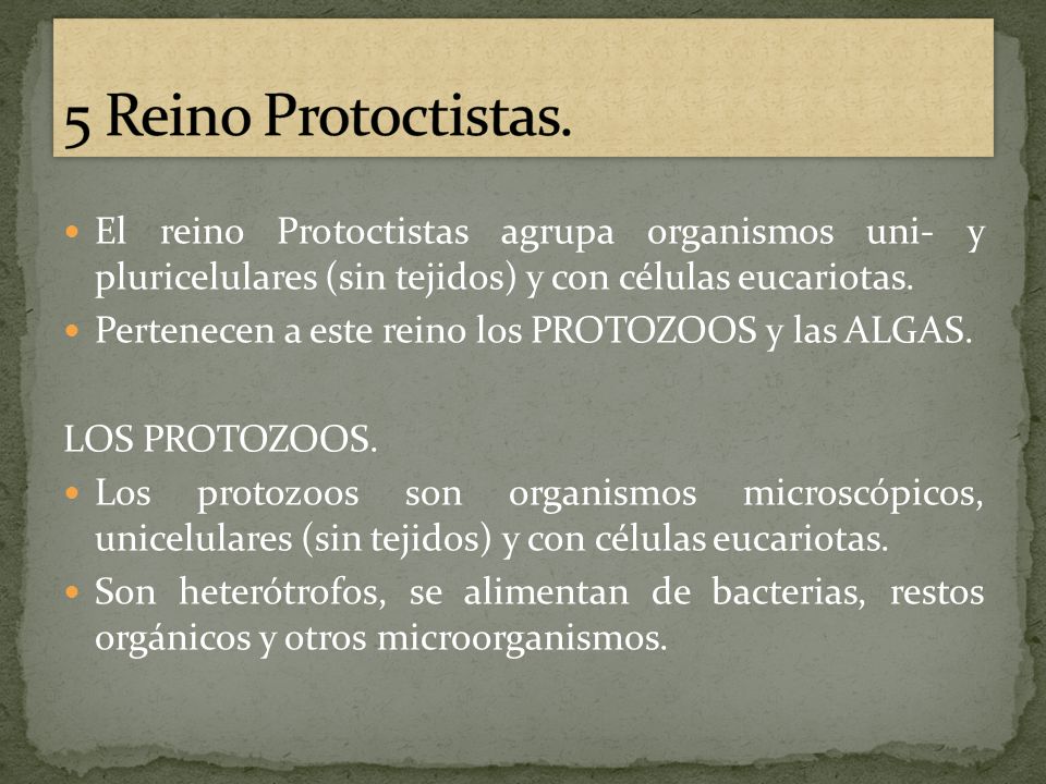 5 Reino Protoctistas. El reino Protoctistas agrupa organismos uni- y pluricelulares (sin tejidos) y con células eucariotas.
