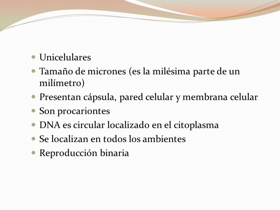 Unicelulares Tamaño de micrones (es la milésima parte de un milímetro) Presentan cápsula, pared celular y membrana celular.