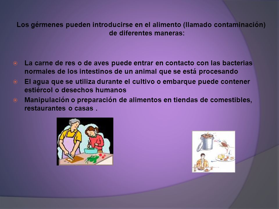 Los gérmenes pueden introducirse en el alimento (llamado contaminación) de diferentes maneras: