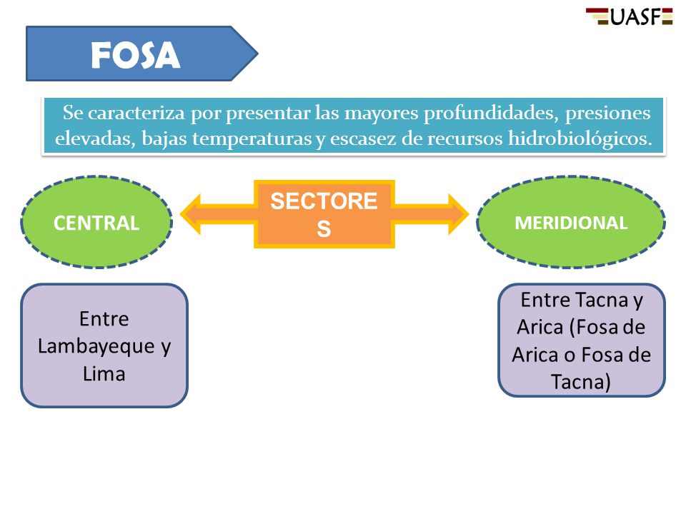FOSA Se caracteriza por presentar las mayores profundidades, presiones elevadas, bajas temperaturas y escasez de recursos hidrobiológicos.