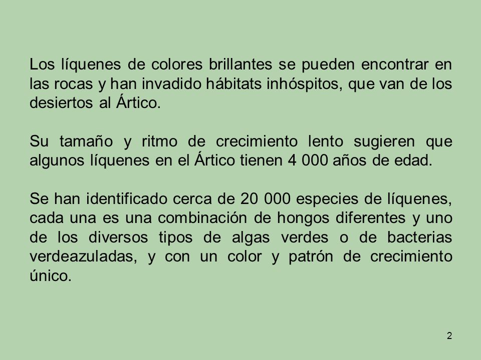 Los líquenes de colores brillantes se pueden encontrar en las rocas y han invadido hábitats inhóspitos, que van de los desiertos al Ártico.