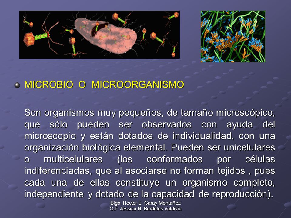 Blgo. Héctor E. Garay Montañez Q.F. Jéssica N. Bardales Valdivia
